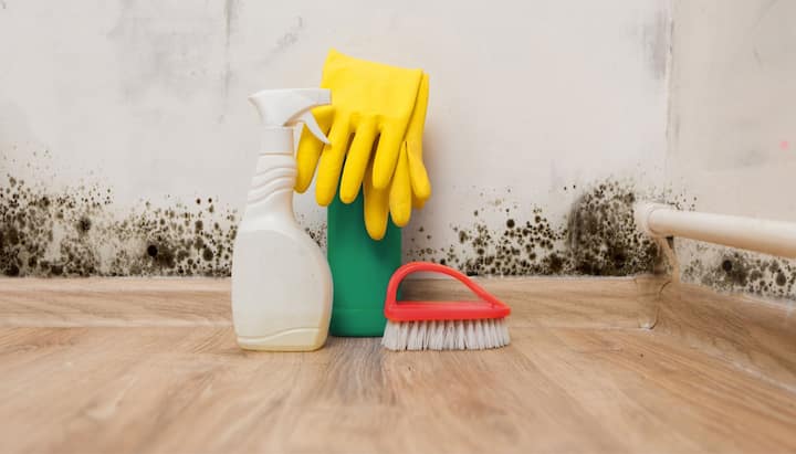 Know About Mold Removal In Peoria