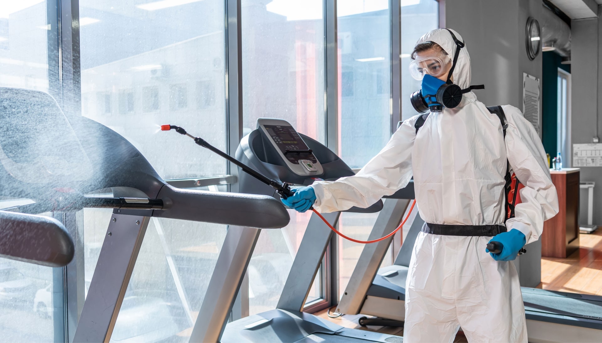 Commercial Mold Removal Services in Peoria