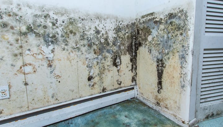 Mold Damage Odor Control Services in Peoria