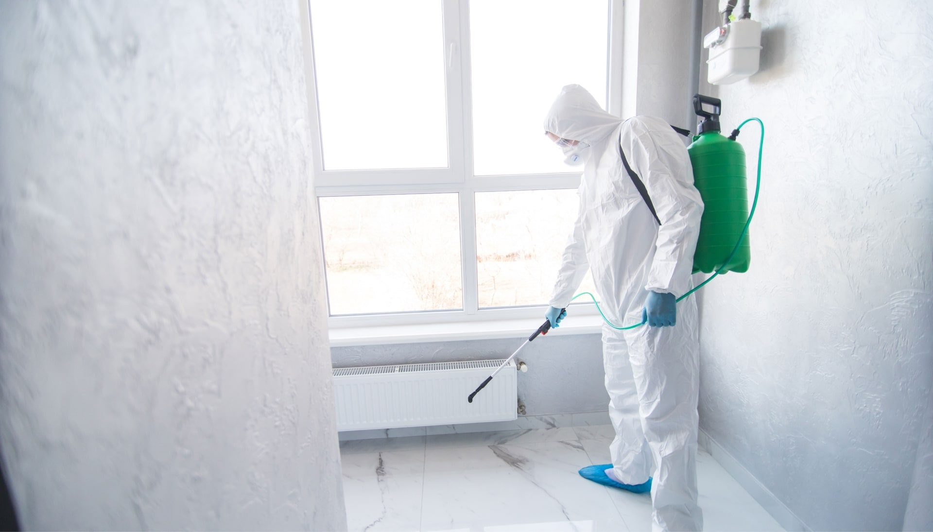 Mold Inspection Services in Peoria